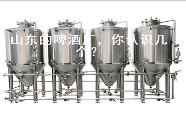 山東的啤酒廠，你認(rèn)識幾個(gè)？