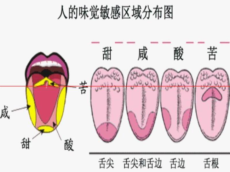 連生啤、熟啤、鮮啤、精釀都分不清楚，還喝什么啤酒