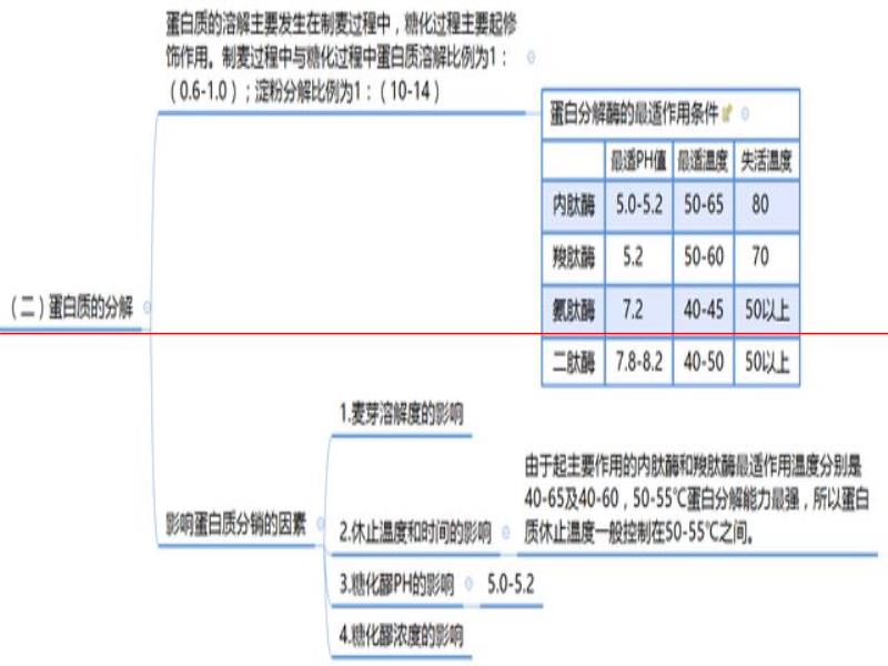 我的精釀日記 第8天 「糖化過(guò)程中物質(zhì)的變化」