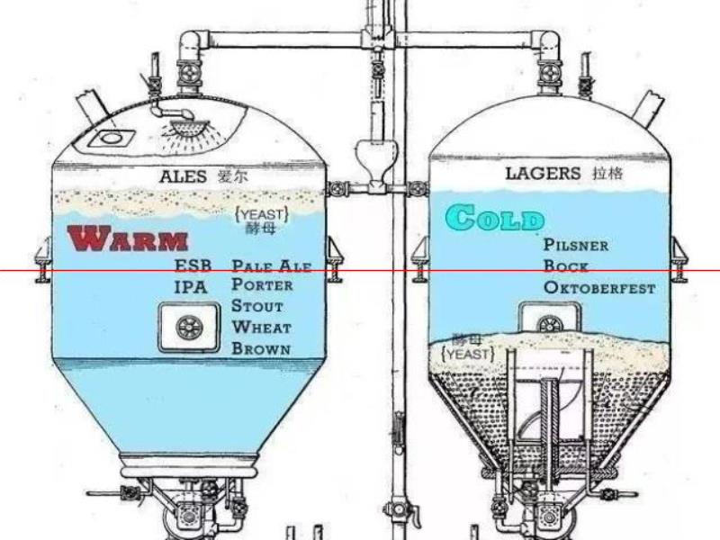 啤酒顏色越深越苦嗎？這些啤酒常識，80%的啤酒人不知道