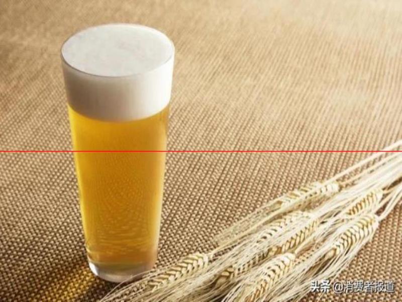 12款啤酒測(cè)試：哈爾濱、珠江等用料較“雜”；嘉士伯、青島泡沫持久性墊底