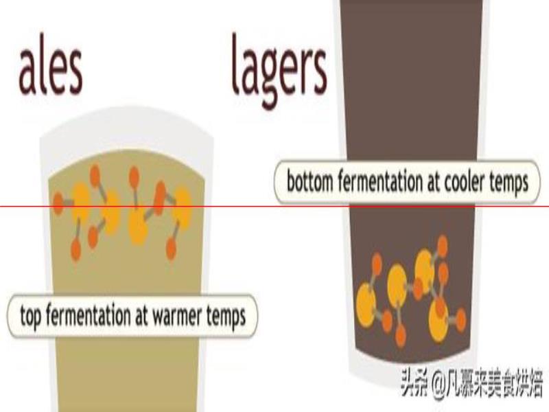 測評17款精釀啤酒，五花八門各種口味真奇葩，哪種啤酒好喝能奪冠