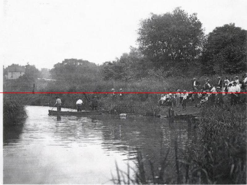 1916年，一條鯊魚擠進(jìn)小溪，吞食了5名美國人，居民展開復(fù)仇