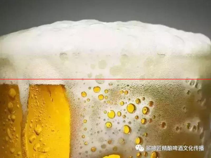 為什么啤酒會(huì)形成與眾不同的泡沫？