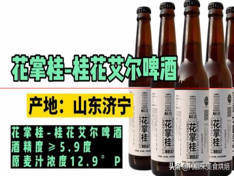 測評17款精釀啤酒，五花八門各種口味真奇葩，哪種啤酒好喝能奪冠