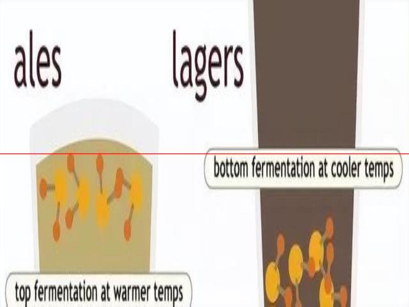 喝精釀，懂精釀——精釀啤酒分類(lèi)